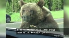 Bliskie spotkanie z niedźwiedziem