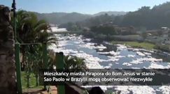 Brazylijska rzeka płynie w toksycznej pianie