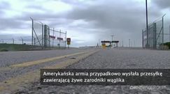 Żywe bakterie wąglika trafiły do Australii