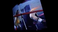 Na barkach lwa (2015)