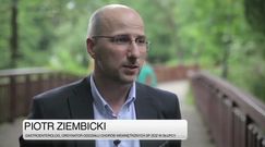 Dieta bezglutenowa nie dla wszystkich