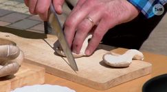 Wytrawna tarta z boczniakami