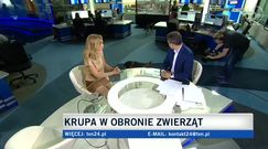 Joanna Krupa szuka domu dla psów ze schroniska