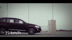Volvo XC60 - test systemu City Safety