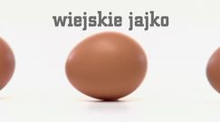 Jak kupić smaczne i zdrowe jajka?