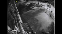 Seria podpaleń na poznańskim Sołaczu. Policja opublikowała nagranie