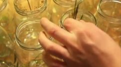 Ogórki kiszone. Z tym przepisem wyjdą każdemu