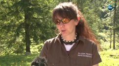 Graffitti na Giewoncie