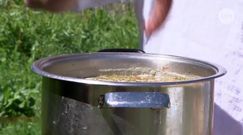 Jak zrobić idealną zupę chrzanową