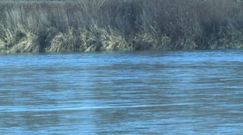 Gwałt i brutalne pobicie 50-latka koło Zakliczyna