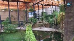 Zoo we Wrocławiu z rekordową frekwencją