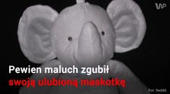 Mały chłopiec zgubił swojego słonia. Internauci wysłali go w podróż dookoła świata