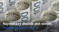 Miliardy długu. Kto i ile jest winien Polsce?