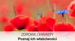 Zdrowe chwasty