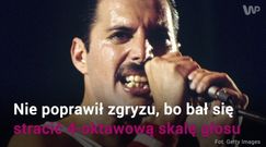 Freddie Mercury - tego o nim nie wiedzieliście