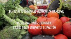Owoce i warzywa najbardziej skażone pestycydami