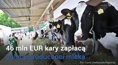 Problemy polskich rolników