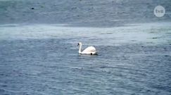 Jakie atrakcje oferują Zalew Szczeciński i Wkryujście?