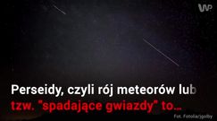 Dziś maksimum Perseidów