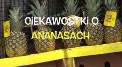 Tak poznasz, że ananas jest słodki