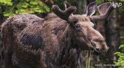 Kampinos - co warto zobaczyć?