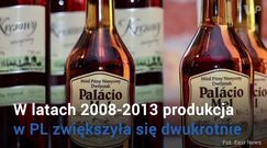 Miody pitne. Polska liderem produkcji na świecie