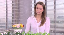 Takie śniadanie uzupełni niedobory cennej witaminy