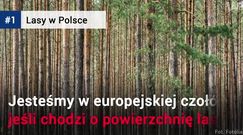 Polskie lasy w liczbach