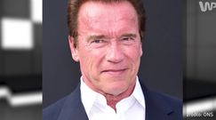 #dziejesiewkulturze: Arnold Schwarzenegger będzie rozmawiał o ''Predatorze''