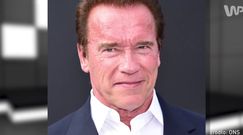 #dziejesiewkulturze: Arnold Schwarzenegger będzie rozmawiał o ''Predatorze''