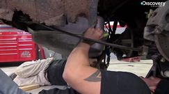 Powtórne narodziny Trans Ama