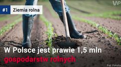 Ile kosztuje polska ziemia?