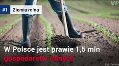 Ile kosztuje polska ziemia?