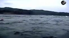  Co było przyczyną potężnego trzęsienia ziemi u wybrzeży Japonii?