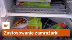 Nietypowe zastosowania zamrażarki