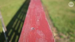 Niewiarygodne, że w Polsce są takie domy