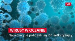 Odkryli 200 tys. wirusów w oceanicznych głębinach