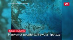 Kręgi na rafie. Wyjaśnienie zagadki zajęło im ponad 50 lat