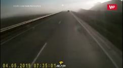 Karambol w Rosji. Wszystkiemu winna ograniczona widoczność