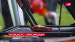 Najgorszy wybór na grilla. Naukowcy apelują: nawet 16 szkodliwych substancji