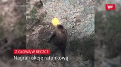 Ryczał, a na głowie miał beczkę. Nietypowe wezwanie