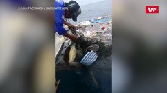 Wypłynęli na ryby. Gdy zobaczyli go w wodzie, musieli zareagować