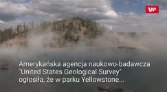 Nowy obszar termiczny. Sensacja w parku Yellowstone