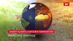 Zmiany klimatu a wysoka temperatura. Naukowcy alarmują