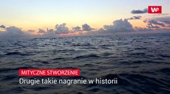 Mityczne stworzenie. Drugie takie nagranie w historii