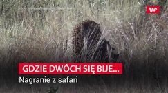 Guziec myślał, że już po nim. Wtedy stało się coś, czego nikt się nie spodziewał