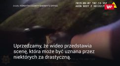 Oficer rozerwał foliową torebkę. Wstrząsające, co znajdowało się w środku