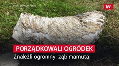 Robili porządki w ogrodzie. Niewiarygodne, co leżało obok doniczki