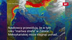 "Martwa strefa" w Zatoce Meksykańskiej