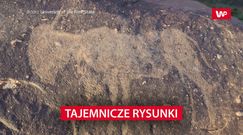 Tajemnicze rysunki